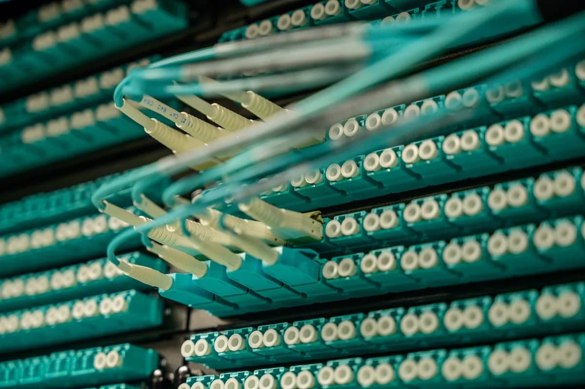 Close-up of fiber optic cables connected to a server rack.